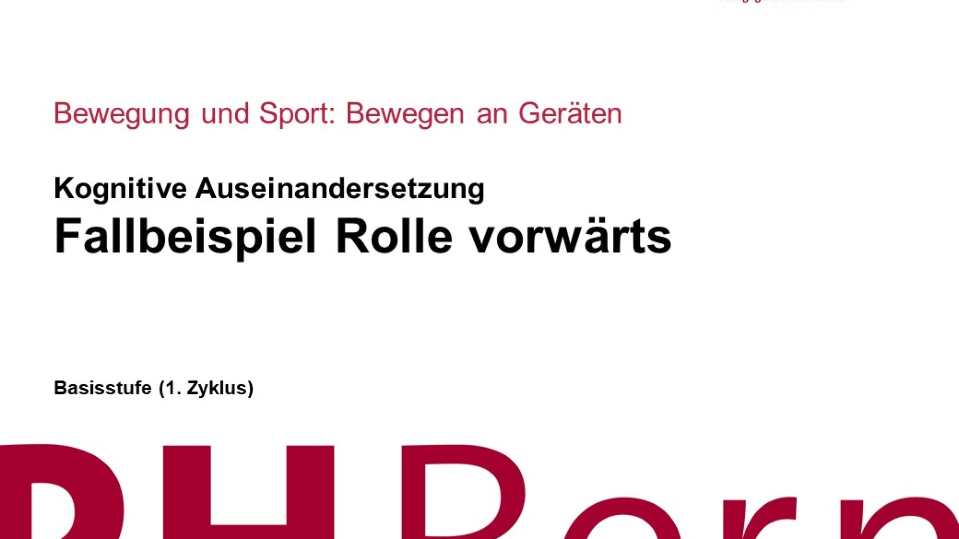 Kognitive Auseinandersetzung
